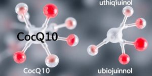 CoQ10 and ubiquinol molecules side-by-side.